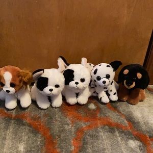 5 pack of beanie boo puppies